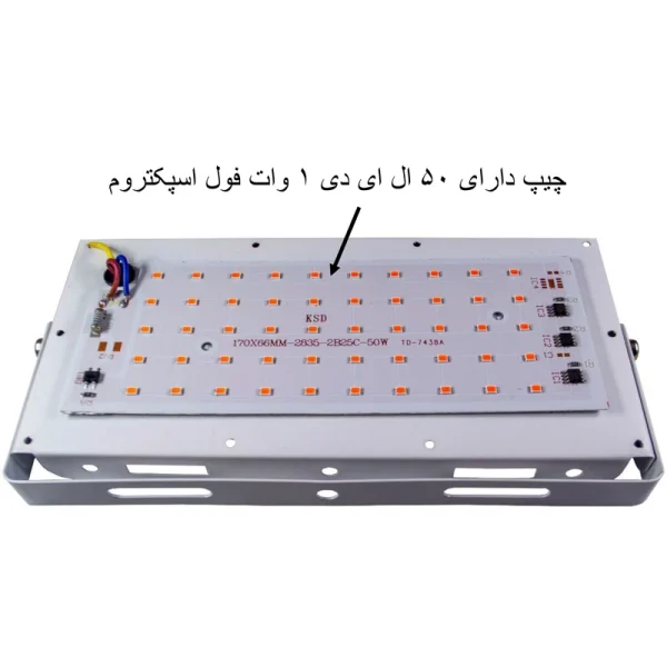 پروزکتور رشد گیاه صورتی