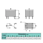 رله 12V