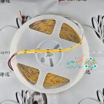 واردات ریسه نواری رنگی cob