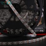 نوار لنزدار جیاتون تراکم ۴۸ در جلوی حلقه ریسه